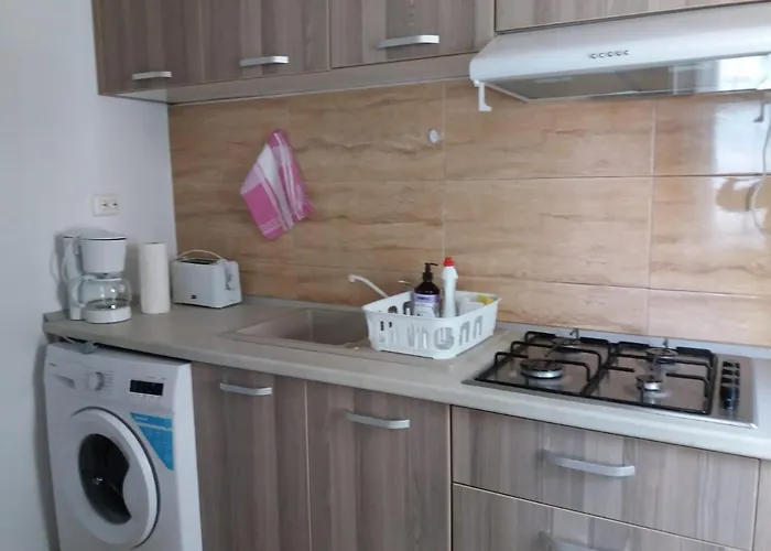 Garsoniera Bibi Nord