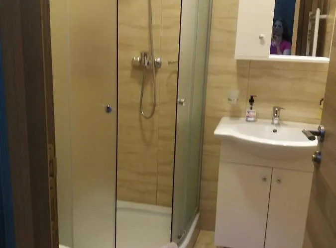 Garsoniera Bibi Nord *