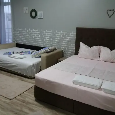 Garsoniera Bibi Nord Apartment *