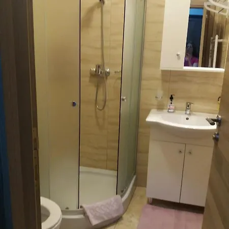 Garsoniera Bibi Nord *